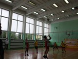 Finał wojewódzki IMS w minisiatkówce (85)